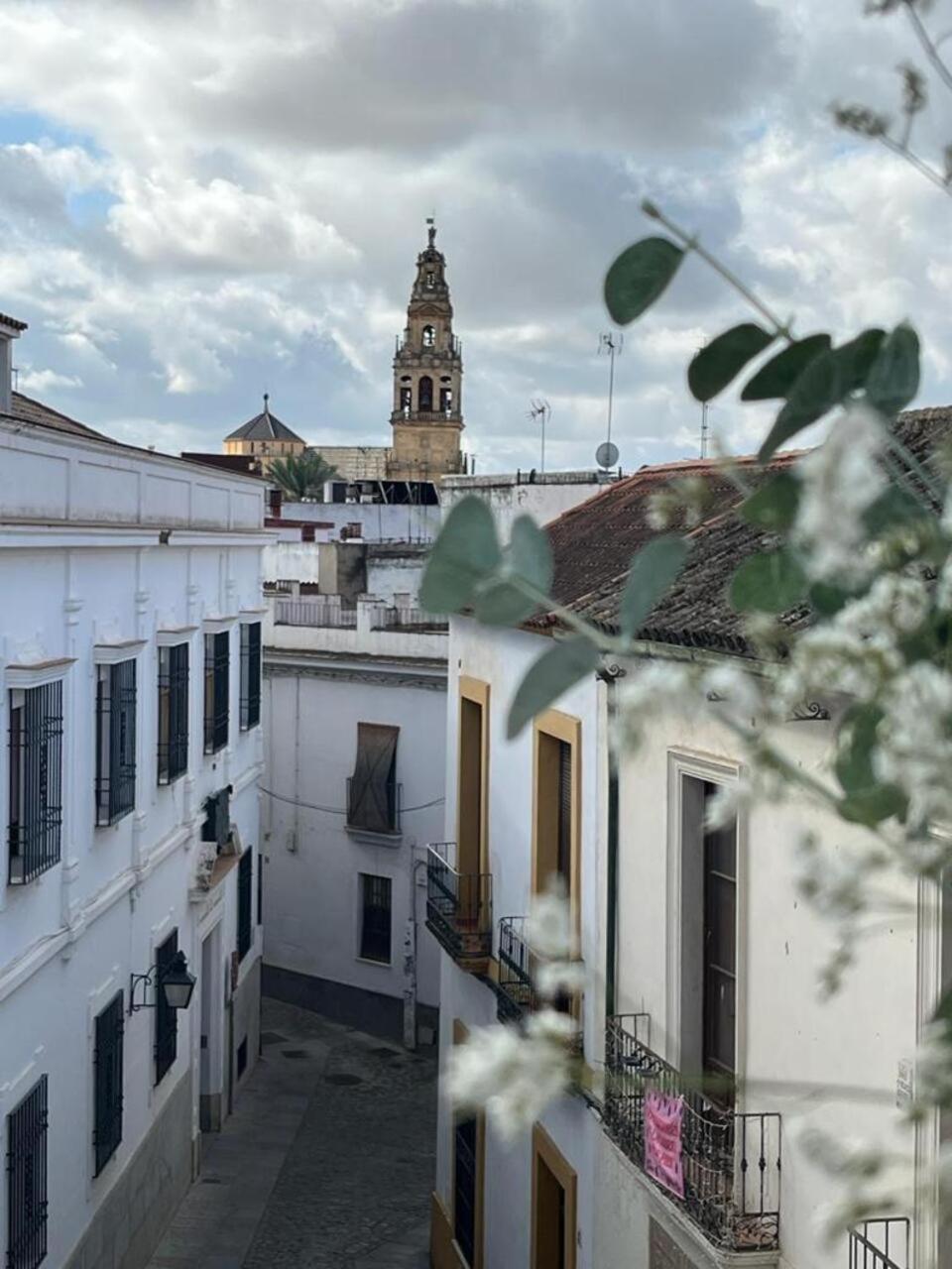 El Balcon De La Torre Apartment Kordoba Bagian luar foto