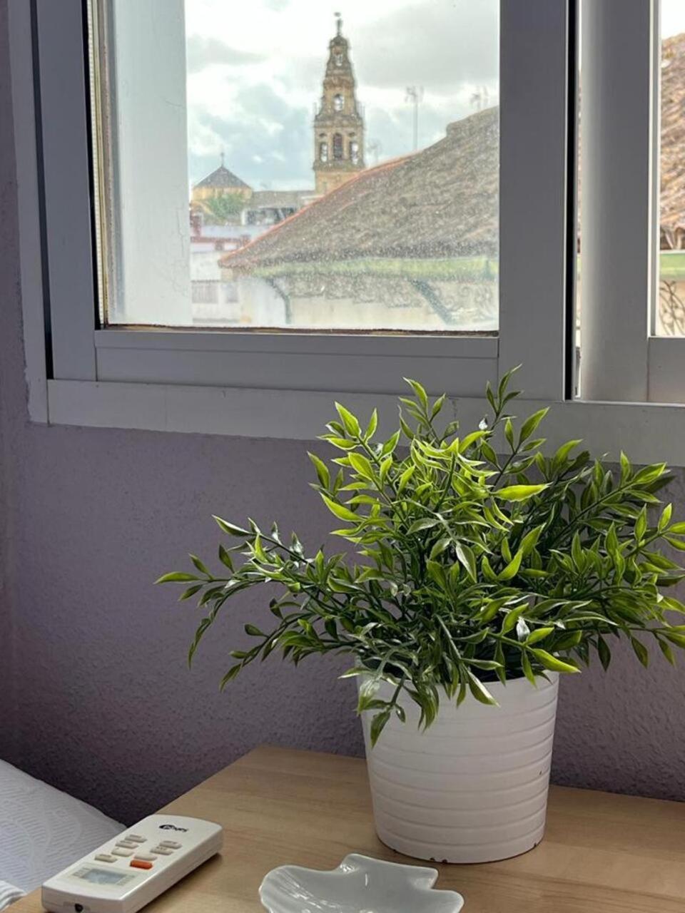 El Balcon De La Torre Apartment Kordoba Bagian luar foto